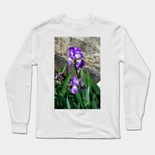 Bearded Iris in Spring Long Sleeve T-Shirt